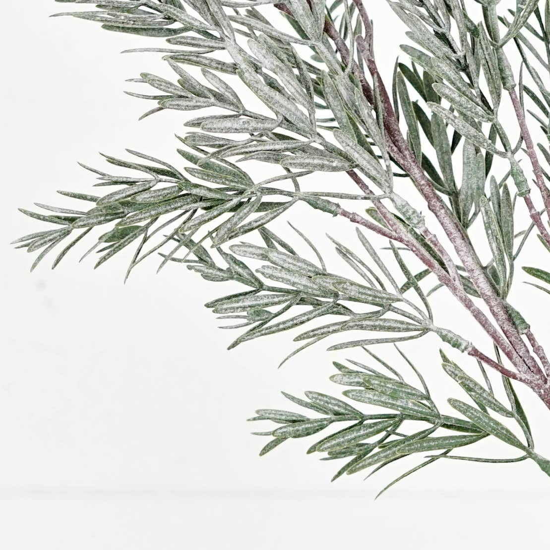510261- 24in Spray-Frosted Rosemary pine spray