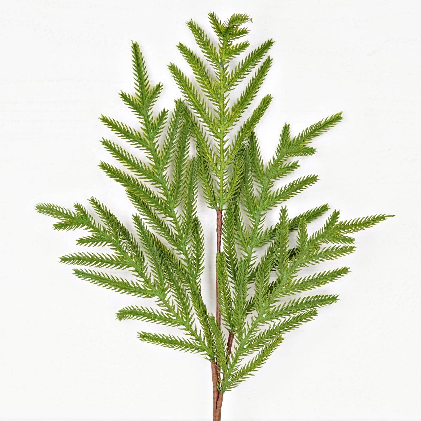 510705- 25in Spray-Soft Touch Evergreen Norfolk Pine-