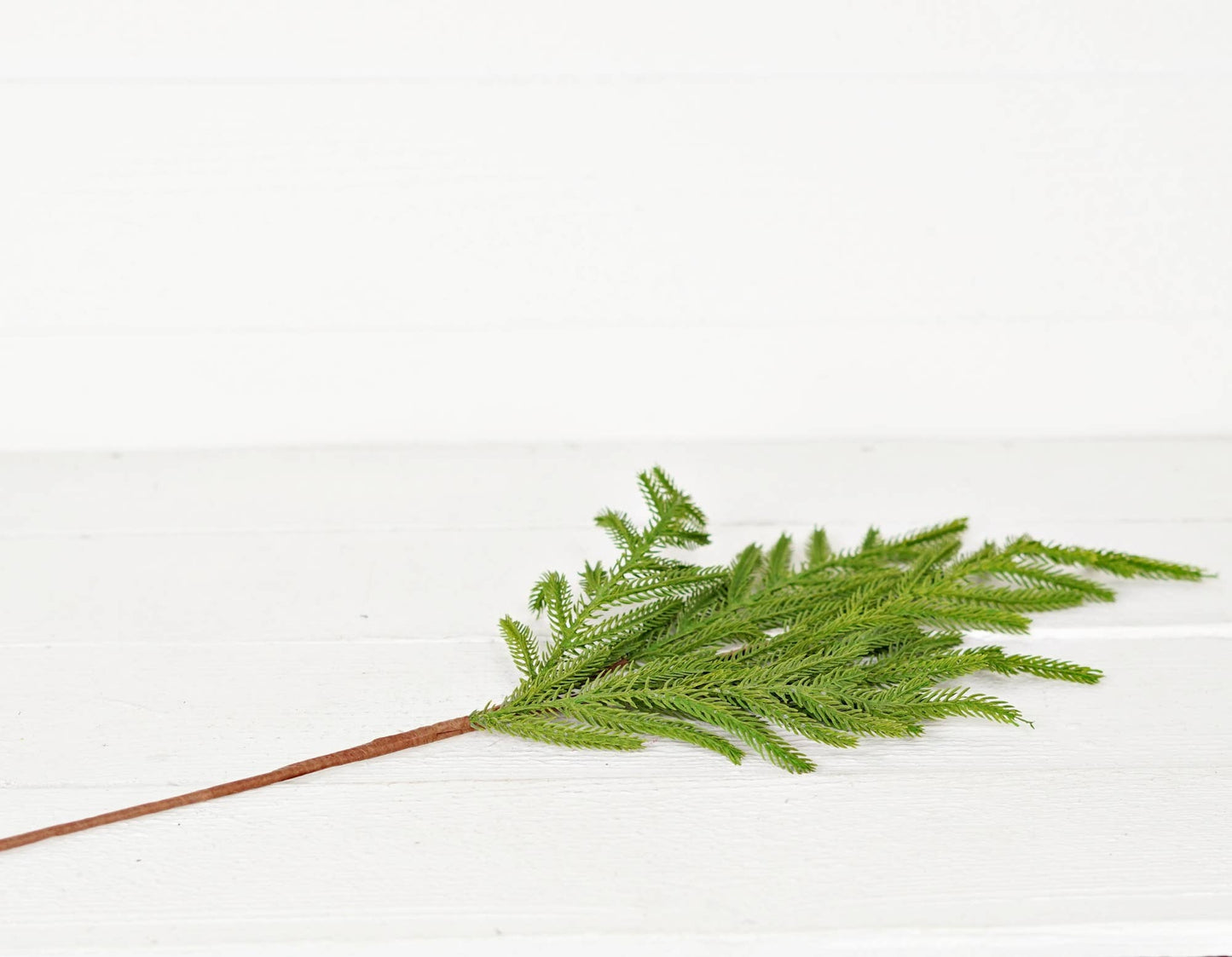 510705- 25in Spray-Soft Touch Evergreen Norfolk Pine-
