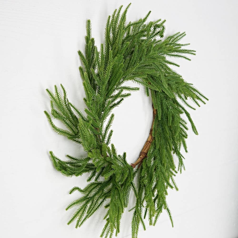 31850- 24in Wreath-Soft touch Evergreen Norfolk Pine-
