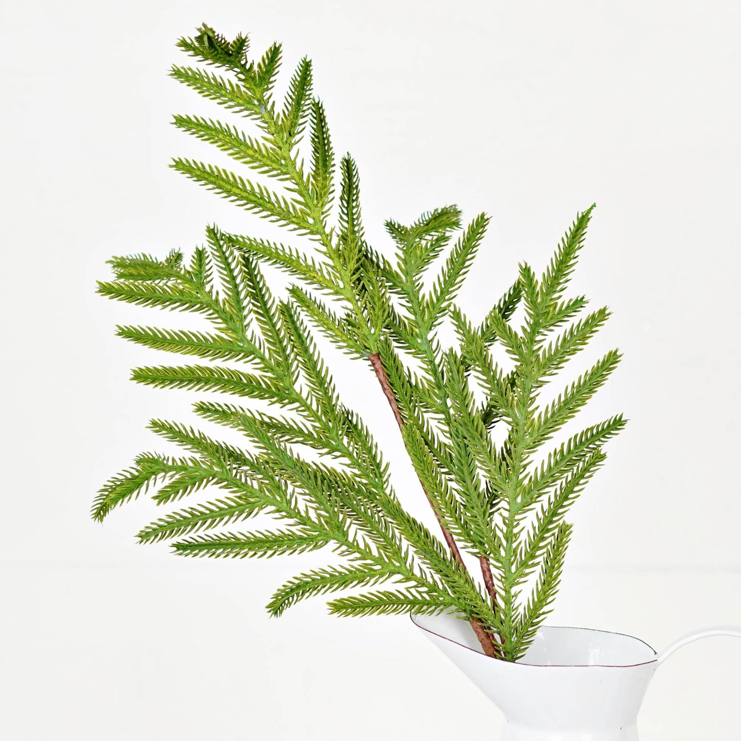 510705- 25in Spray-Soft Touch Evergreen Norfolk Pine-