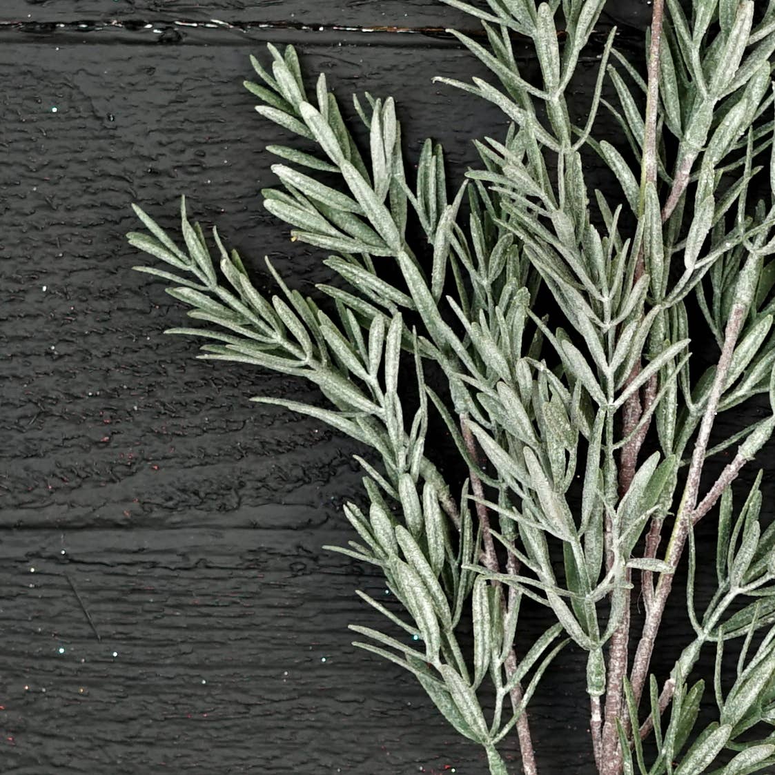 510261- 24in Spray-Frosted Rosemary pine spray