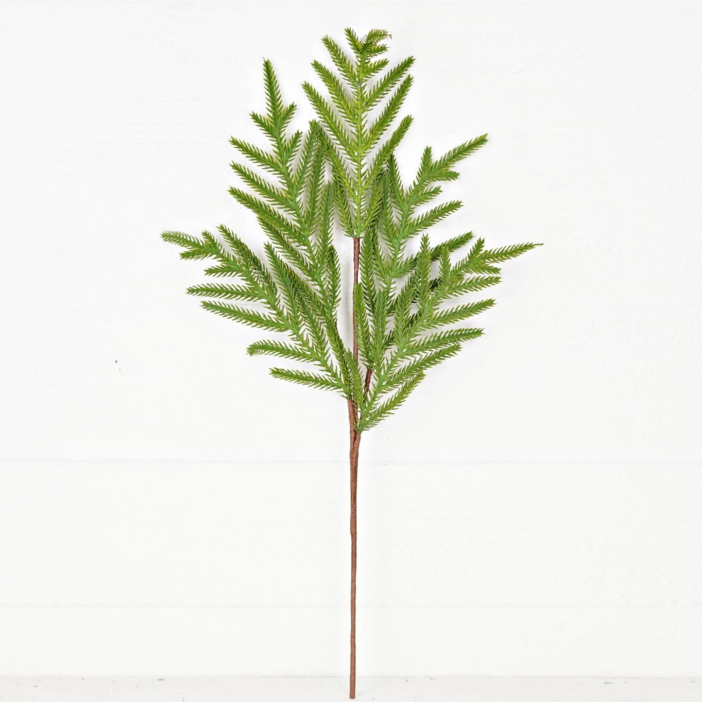 510705- 25in Spray-Soft Touch Evergreen Norfolk Pine-