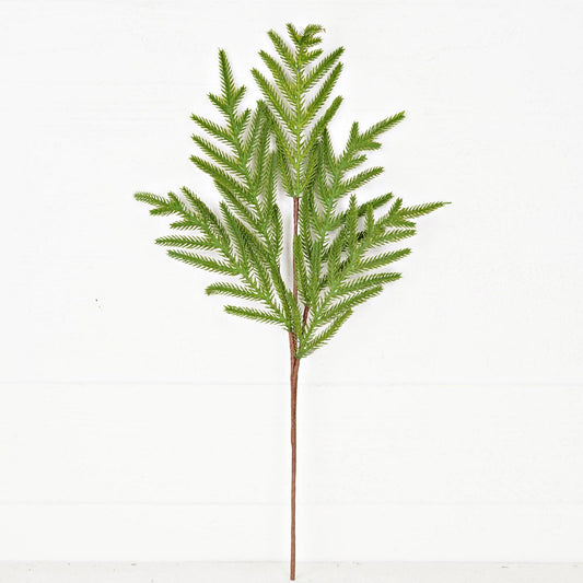 510705- 25in Spray-Soft Touch Evergreen Norfolk Pine-