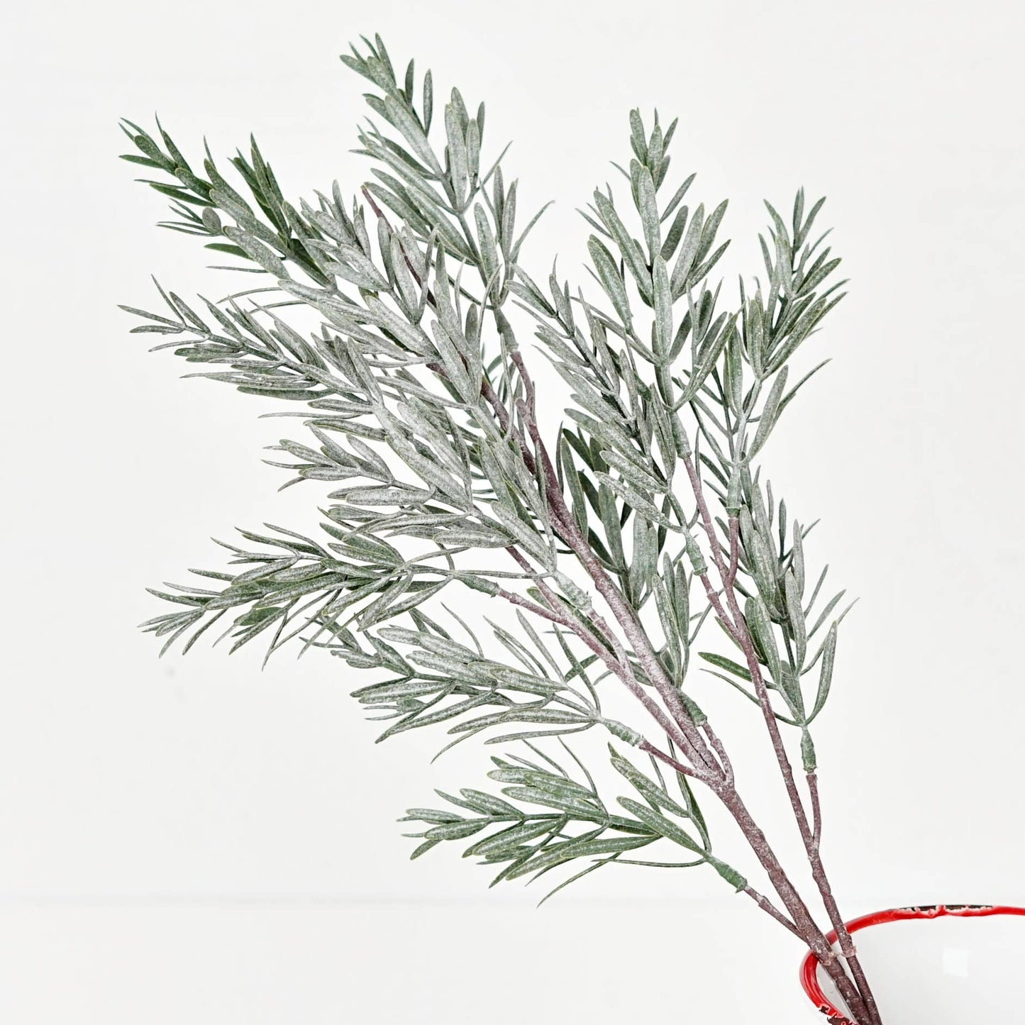 510261- 24in Spray-Frosted Rosemary pine spray