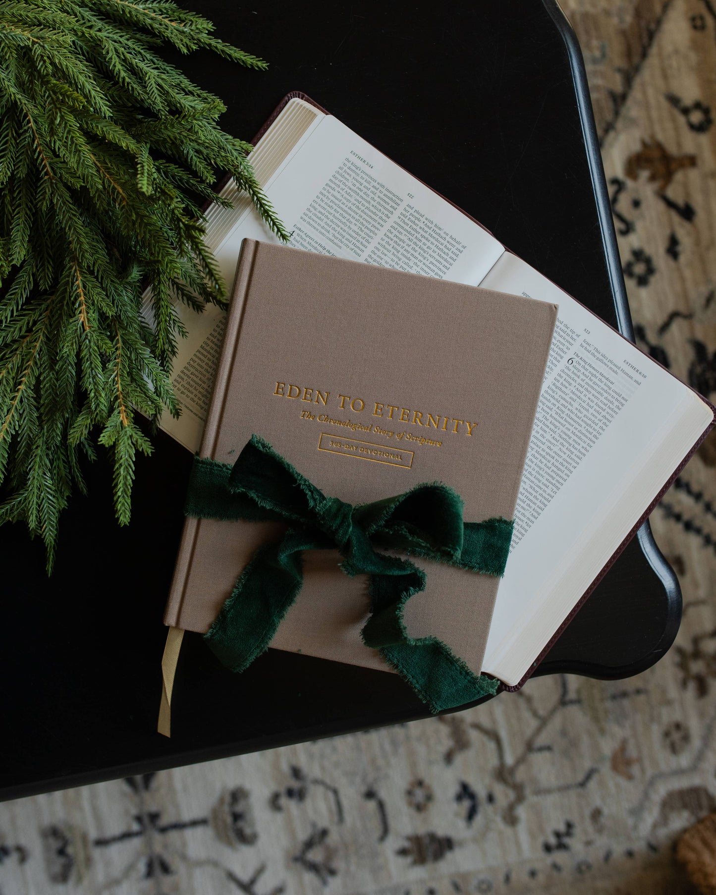 Eden to Eternity | 365-Day Devotional