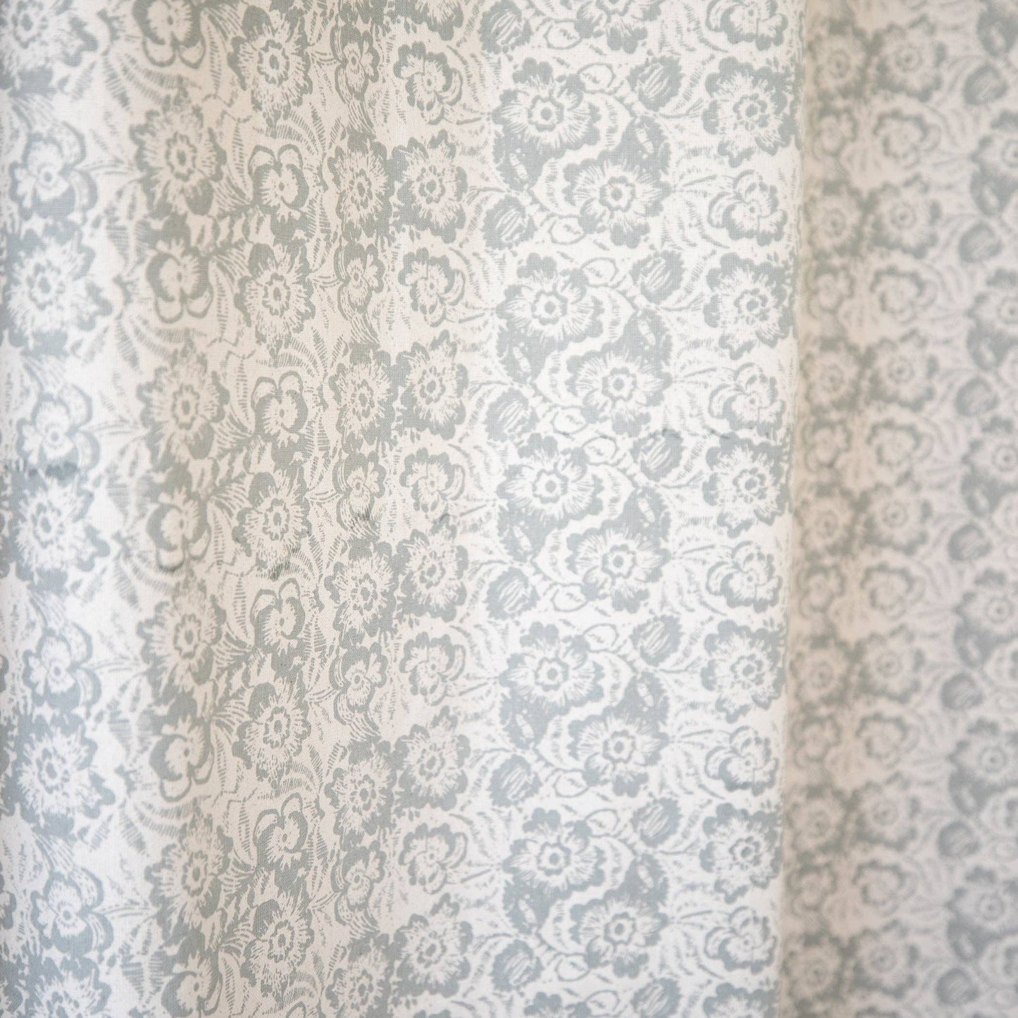 Flora Window - 2 pack