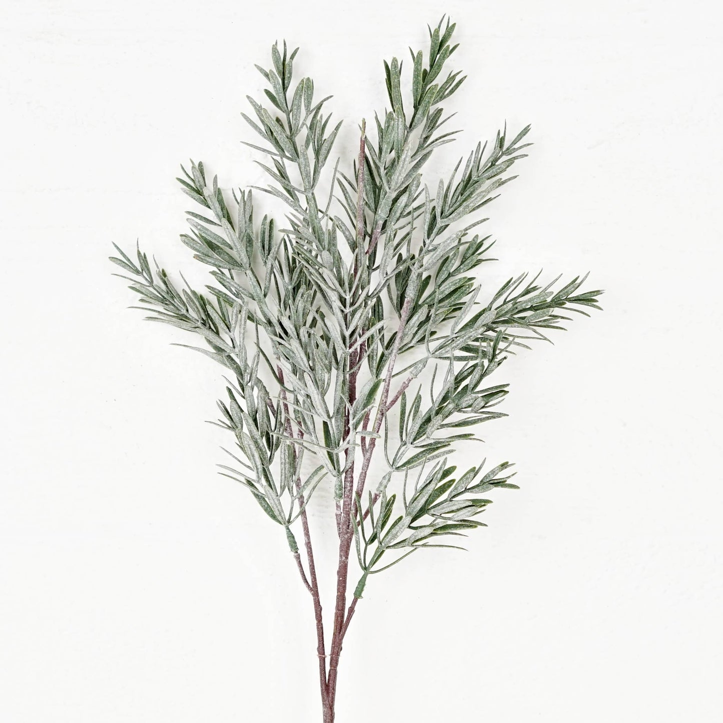 510261- 24in Spray-Frosted Rosemary pine spray