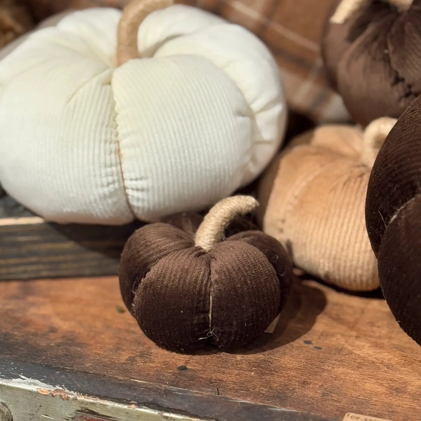 Large Mocha Corduroy Pumpkin