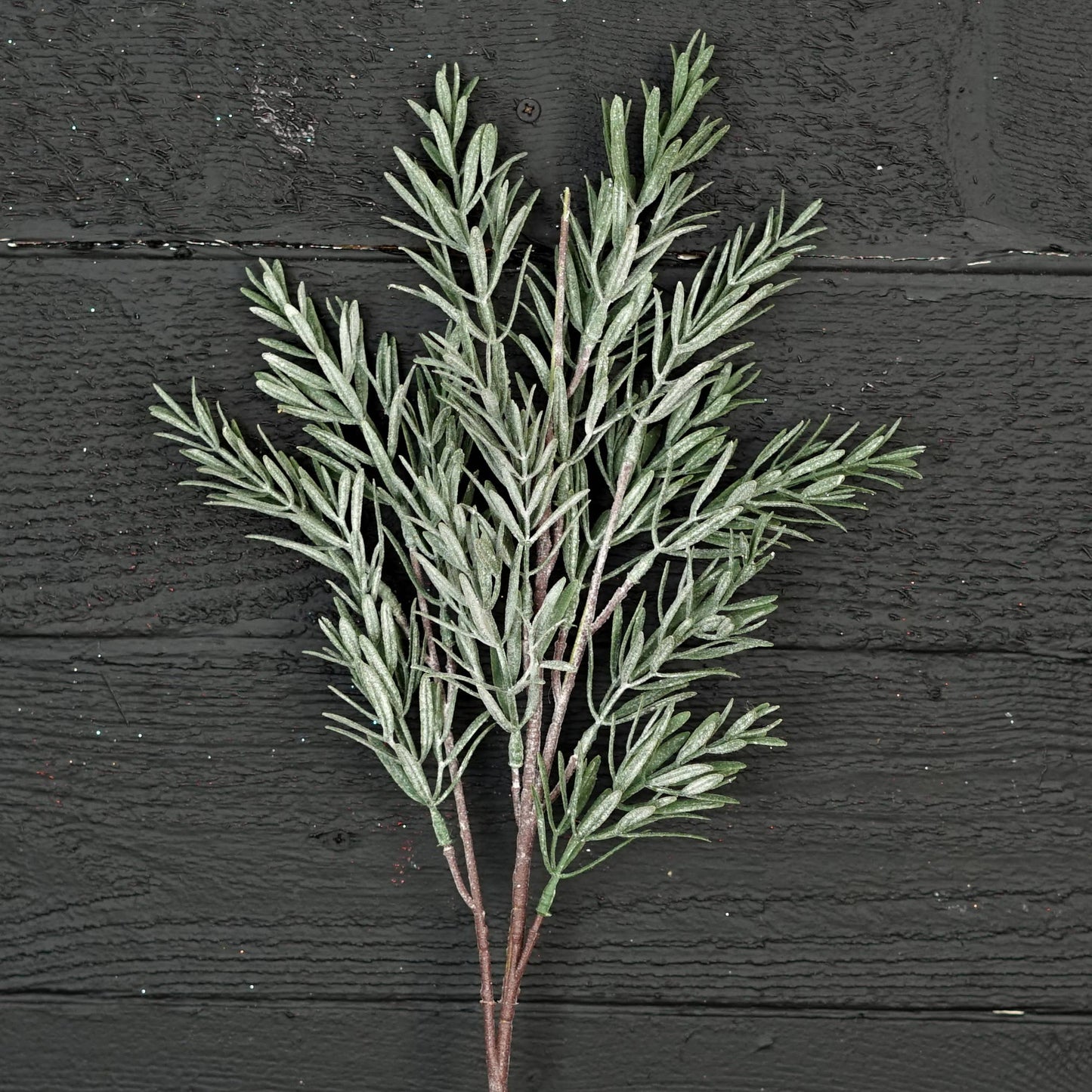 510261- 24in Spray-Frosted Rosemary pine spray