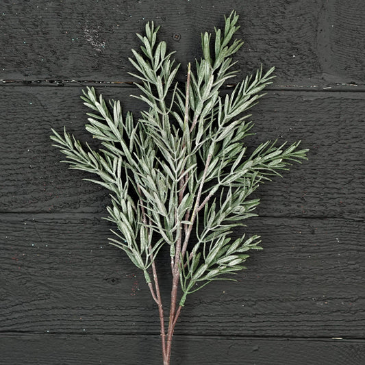 510261- 24in Spray-Frosted Rosemary pine spray