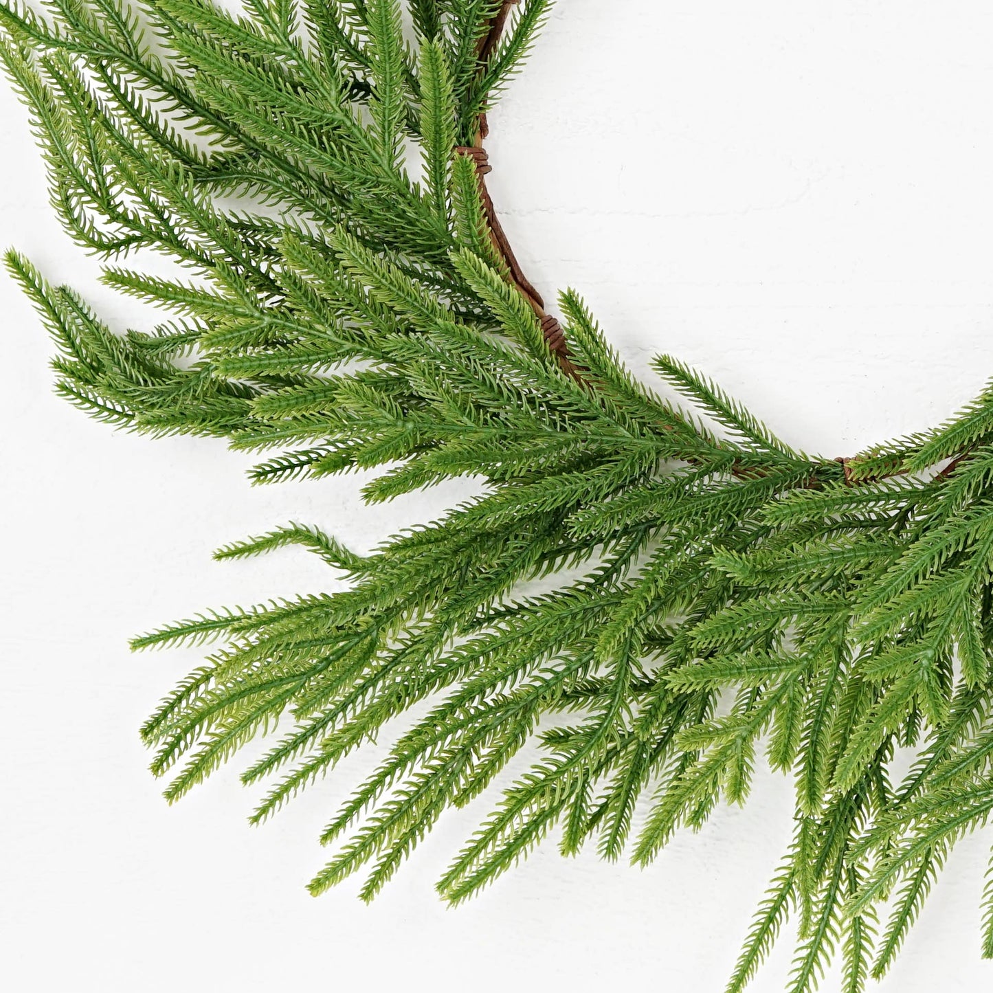31850- 24in Wreath-Soft touch Evergreen Norfolk Pine-